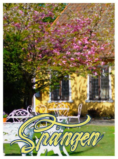 Spangens Gastgivaregard Inn Ljungbyhed Exterior foto